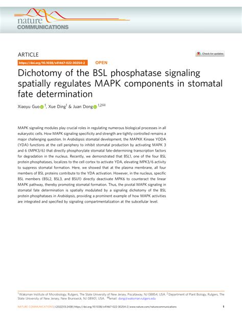 bsl nc|Dichotomy of the BSL phosphatase signaling spatially regulates .